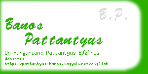 banos pattantyus business card